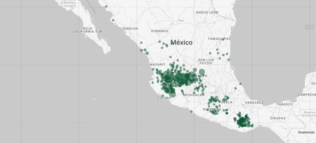 Geografía del agave en México, materia prima esencial para el tequila y el mezcal
